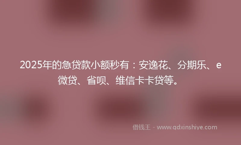 2025年的急贷款小额秒有：安逸花、分期乐、e微贷、省呗、维信卡卡贷等。