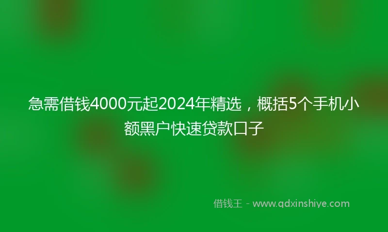 急需借钱4000元起2024年精选，概括5个手机小额黑户快速贷款口子