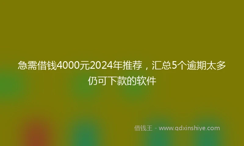 急需借钱4000元2024年推荐，汇总5个逾期太多仍可下款的软件