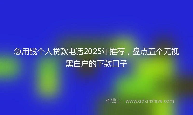 急用钱个人贷款电话2025年推荐，盘点五个无视黑白户的下款口子