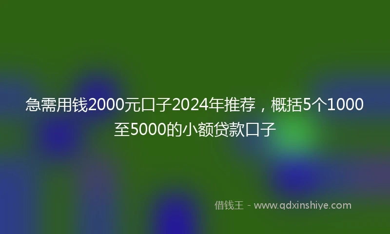 急需用钱2000元口子2024年推荐，概括5个1000至5000的小额贷款口子
