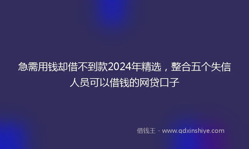 急需用钱却借不到款2024年精选，整合五个失信人员可以借钱的网贷口子