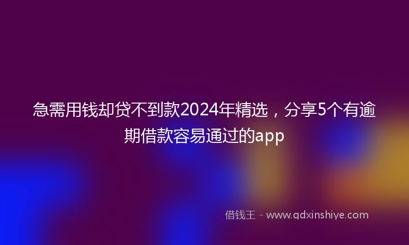 急需用钱却贷不到款2024年精选，分享5个有逾期借款容易通过的app