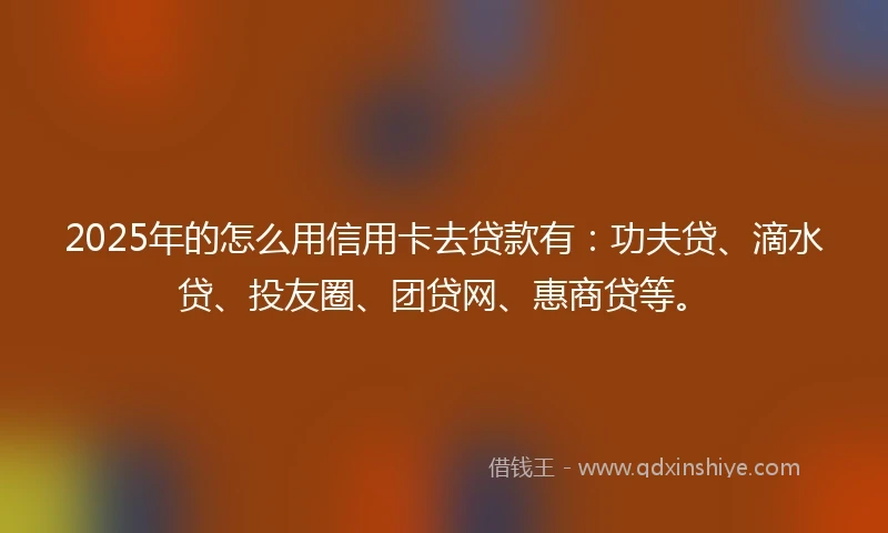 2025年的怎么用信用卡去贷款有：功夫贷、滴水贷、投友圈、团贷网、惠商贷等。