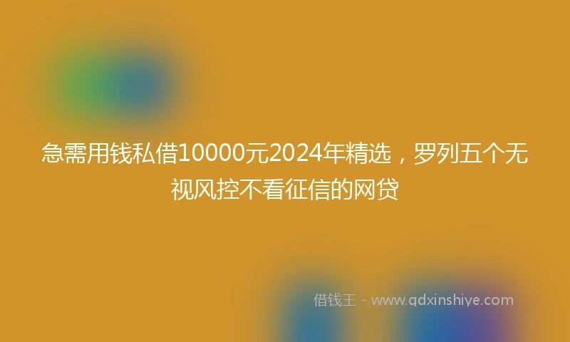 急需用钱私借10000元2024年精选，罗列五个无视风控不看征信的网贷