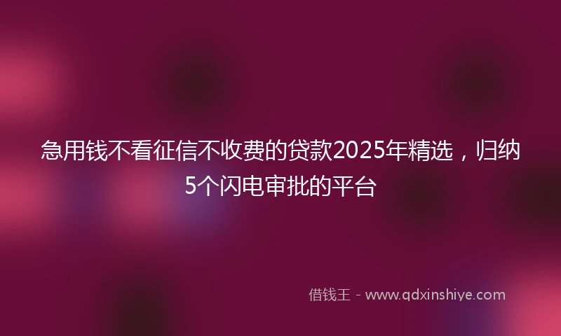 急用钱不看征信不收费的贷款2025年精选，归纳5个闪电审批的平台