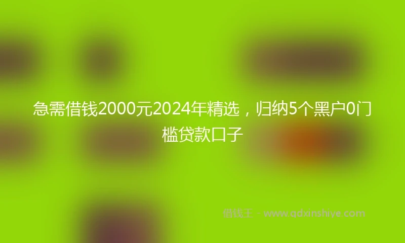 急需借钱2000元2024年精选，归纳5个黑户0门槛贷款口子