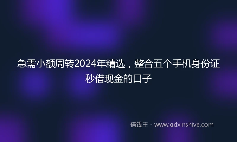 急需小额周转2024年精选，整合五个手机身份证秒借现金的口子