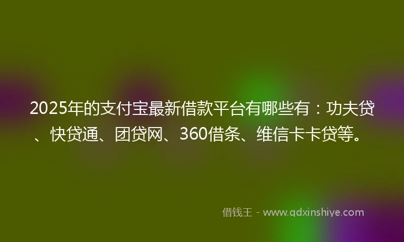 2025年的支付宝最新借款平台有哪些有：功夫贷、快贷通、团贷网、360借条、维信卡卡贷等。
