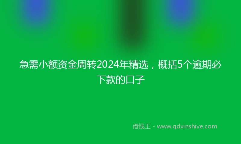 急需小额资金周转2024年精选，概括5个逾期必下款的口子
