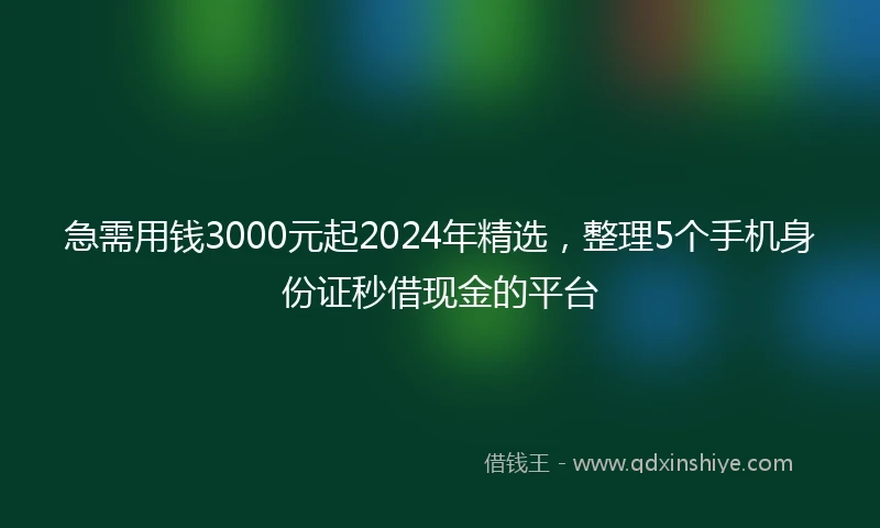 急需用钱3000元起2024年精选，整理5个手机身份证秒借现金的平台