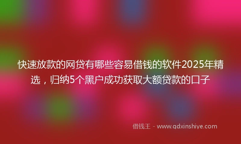 快速放款的网贷有哪些容易借钱的软件2025年精选，归纳5个黑户成功获取大额贷款的口子