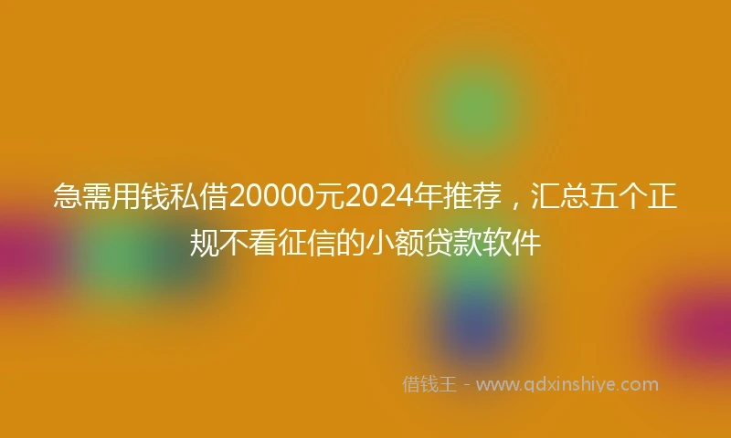 急需用钱私借20000元2024年推荐，汇总五个正规不看征信的小额贷款软件