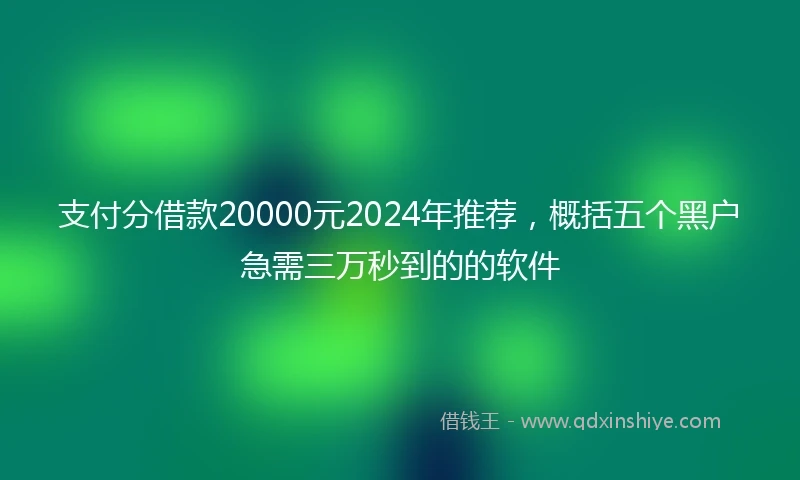 支付分借款20000元2024年推荐，概括五个黑户急需三万秒到的的软件