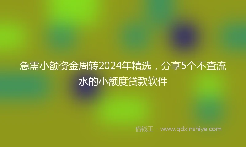 急需小额资金周转2024年精选，分享5个不查流水的小额度贷款软件