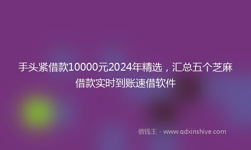 手头紧借款10000元2024年精选，汇总五个芝麻借款实时到账速借软件