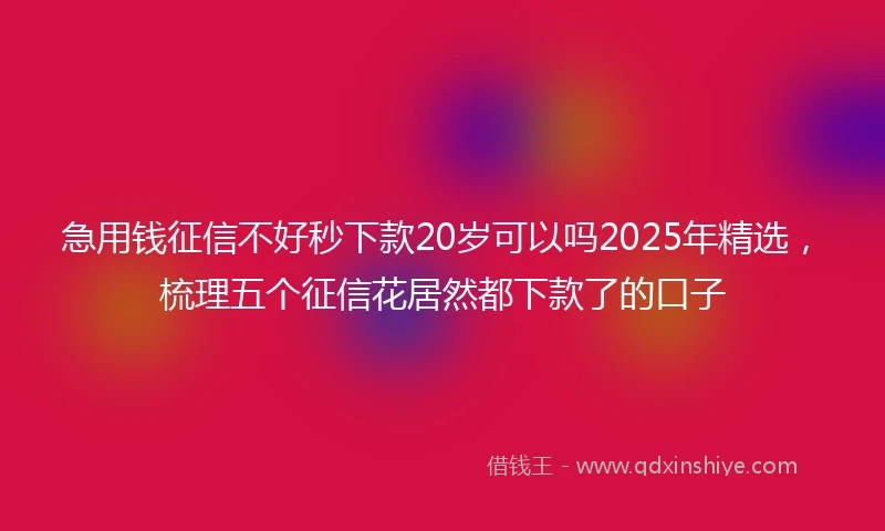 急用钱征信不好秒下款20岁可以吗2025年精选，梳理五个征信花居然都下款了的口子