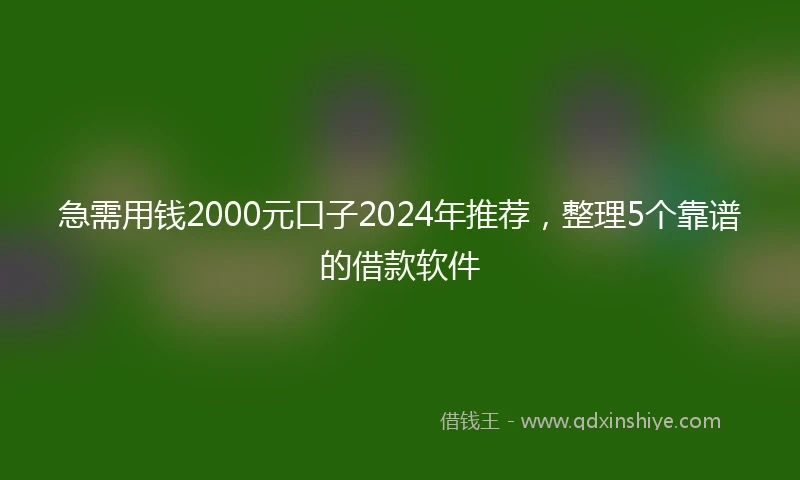 急需用钱2000元口子2024年推荐，整理5个靠谱的借款软件