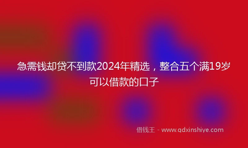 急需钱却贷不到款2024年精选，整合五个满19岁可以借款的口子