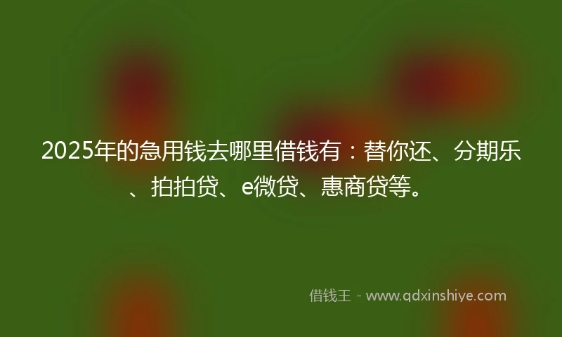 2025年的急用钱去哪里借钱有：替你还、分期乐、拍拍贷、e微贷、惠商贷等。