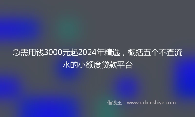 急需用钱3000元起2024年精选，概括五个不查流水的小额度贷款平台