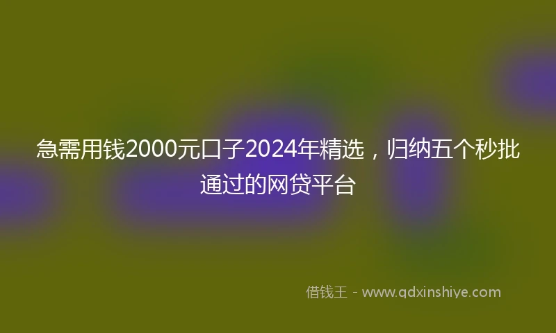 急需用钱2000元口子2024年精选，归纳五个秒批通过的网贷平台