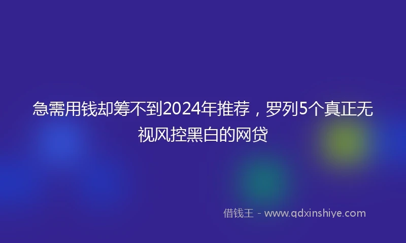 急需用钱却筹不到2024年推荐，罗列5个真正无视风控黑白的网贷
