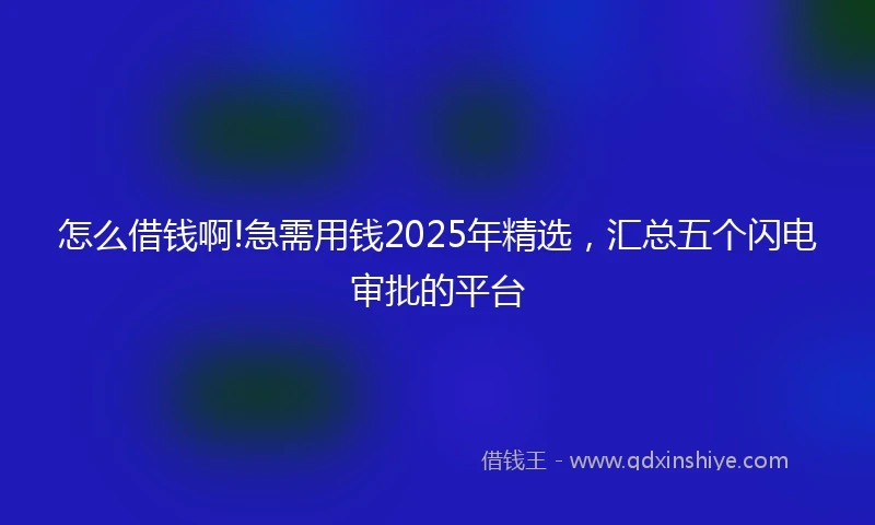 怎么借钱啊!急需用钱2025年精选，汇总五个闪电审批的平台