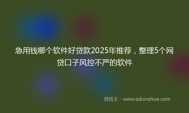急用钱哪个软件好贷款2025年推荐，整理5个网贷口子风控不严的软件