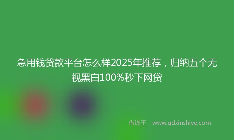 急用钱贷款平台怎么样2025年推荐，归纳五个无视黑白100%秒下网贷