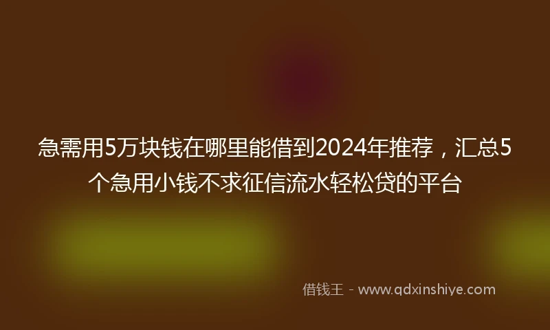急需用5万块钱在哪里能借到2024年推荐，汇总5个急用小钱不求征信流水轻松贷的平台