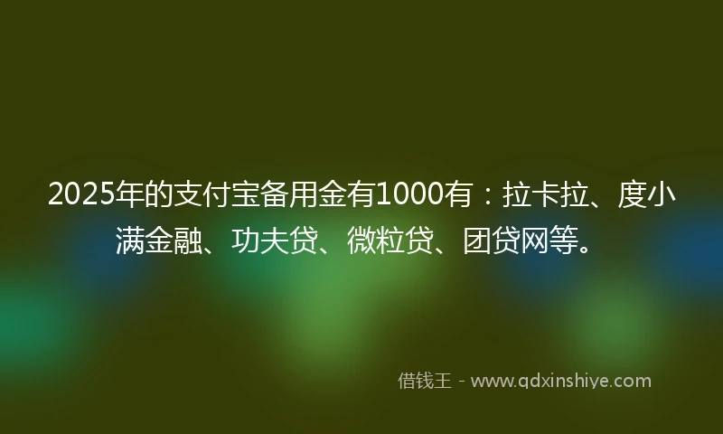 2025年的支付宝备用金有1000有：拉卡拉、度小满金融、功夫贷、微粒贷、团贷网等。