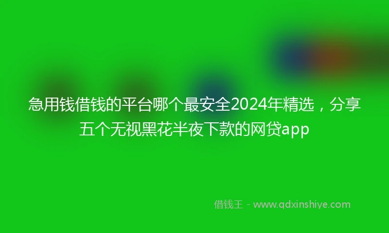 急用钱借钱的平台哪个最安全2024年精选,分享五个无视黑花半夜下款的网贷app
