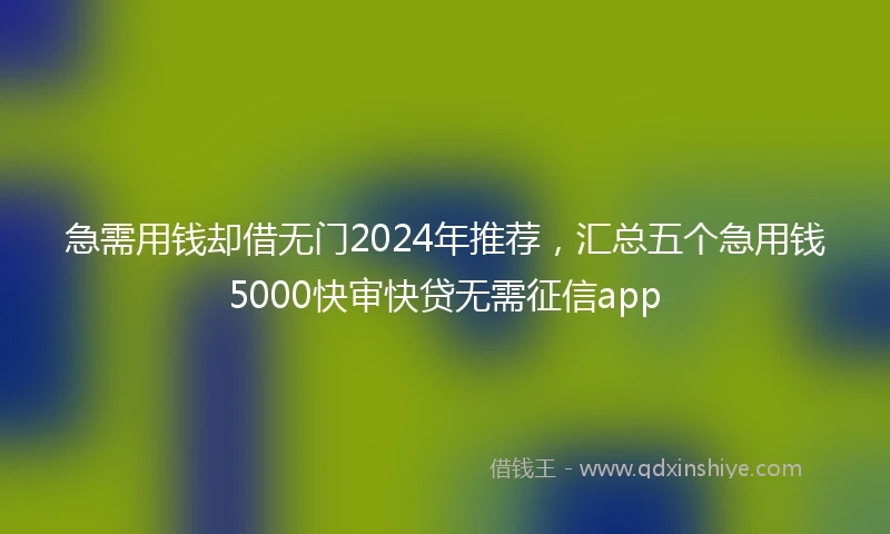 急需用钱却借无门2024年推荐，汇总五个急用钱5000快审快贷无需征信app
