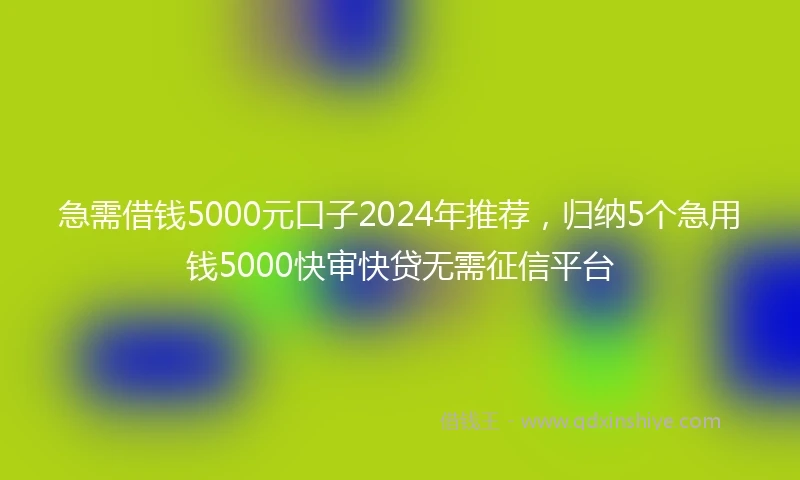 急需借钱5000元口子2024年推荐，归纳5个急用钱5000快审快贷无需征信平台