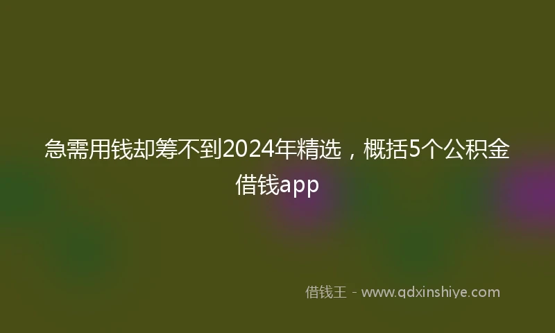 急需用钱却筹不到2024年精选，概括5个公积金借钱app