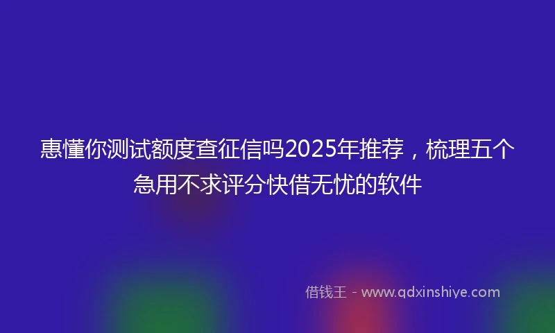 惠懂你测试额度查征信吗2025年推荐，梳理五个急用不求评分快借无忧的软件