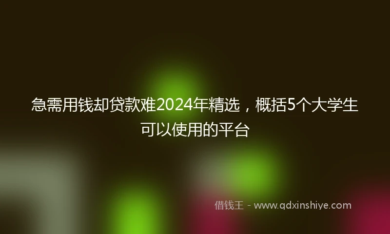 急需用钱却贷款难2024年精选，概括5个大学生可以使用的平台