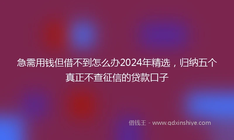 急需用钱但借不到怎么办2024年精选，归纳五个真正不查征信的贷款口子