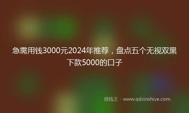 急需用钱3000元2024年推荐，盘点五个无视双黑下款5000的口子