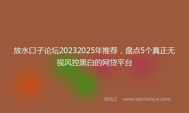 放水口子论坛20232025年推荐，盘点5个真正无视风控黑白的网贷平台