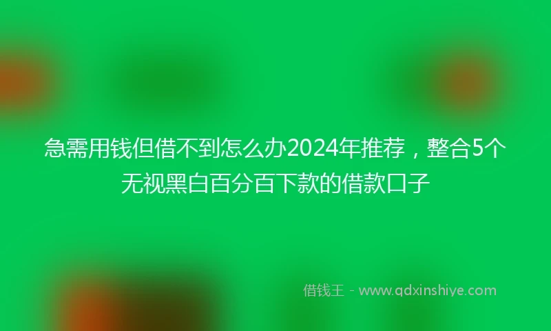 急需用钱但借不到怎么办2024年推荐，整合5个无视黑白百分百下款的借款口子