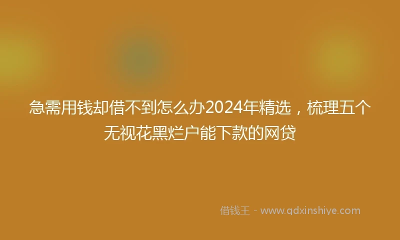 急需用钱却借不到怎么办2024年精选，梳理五个无视花黑烂户能下款的网贷