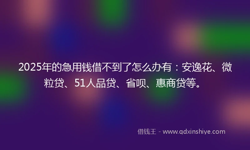 2025年的急用钱借不到了怎么办有：安逸花、微粒贷、51人品贷、省呗、惠商贷等。