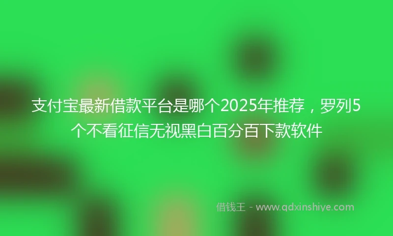 支付宝最新借款平台是哪个2025年推荐，罗列5个不看征信无视黑白百分百下款软件