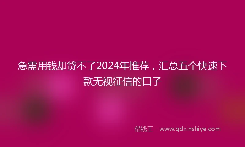 急需用钱却贷不了2024年推荐，汇总五个快速下款无视征信的口子