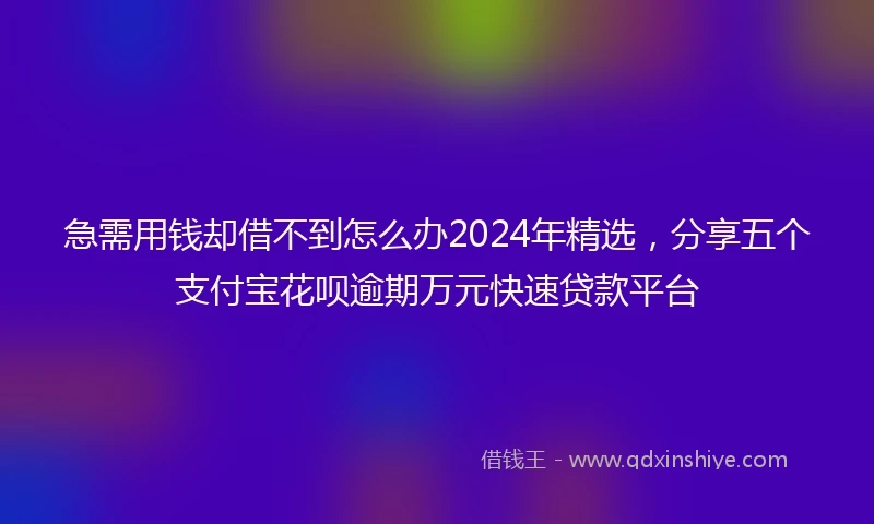 急需用钱却借不到怎么办2024年精选，分享五个支付宝花呗逾期万元快速贷款平台