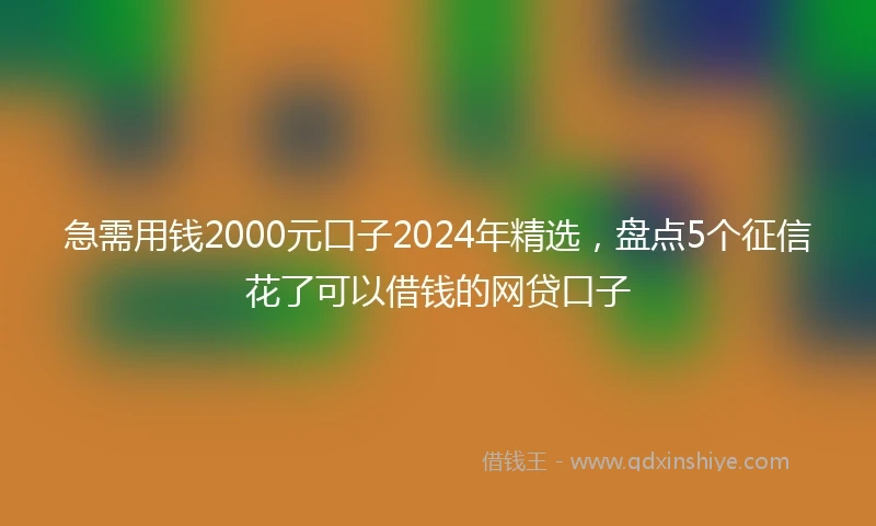 急需用钱2000元口子2024年精选，盘点5个征信花了可以借钱的网贷口子