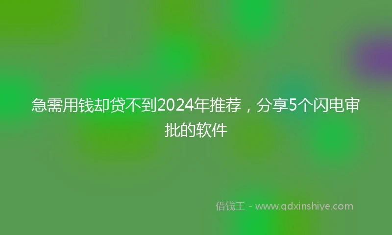 急需用钱却贷不到2024年推荐，分享5个闪电审批的软件