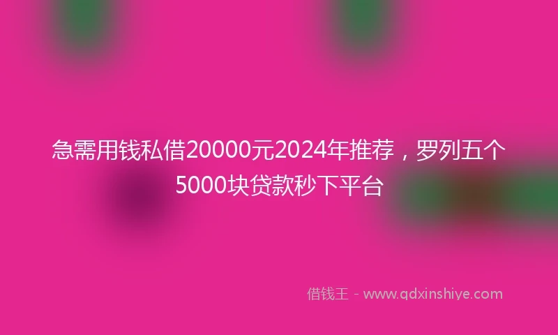 急需用钱私借20000元2024年推荐，罗列五个5000块贷款秒下平台